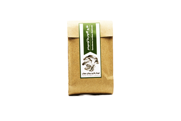 قارچ گانودرما