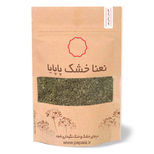 پودر نعنا خشک تمیز اعلا | پاپایا | 100 گرم
