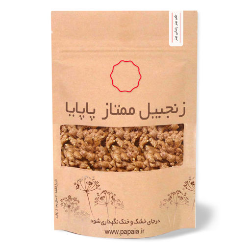 زنجبیل قلم (ریشه) ممتاز | پاپایا | 250 گرم