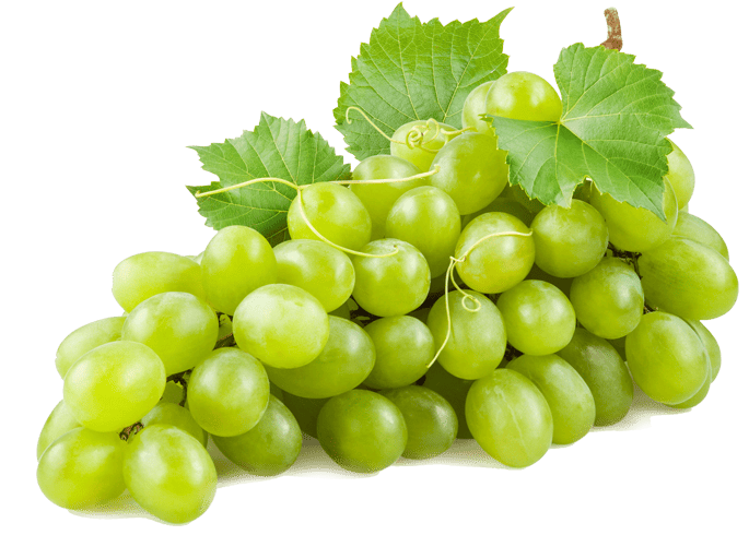 اسانس پودری انگور سبز | خوراکی | 100 گرم